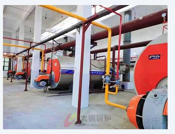 延安六台10吨承压热水锅炉(图2)